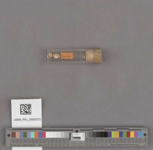 NSF ADBC EPICC TCN