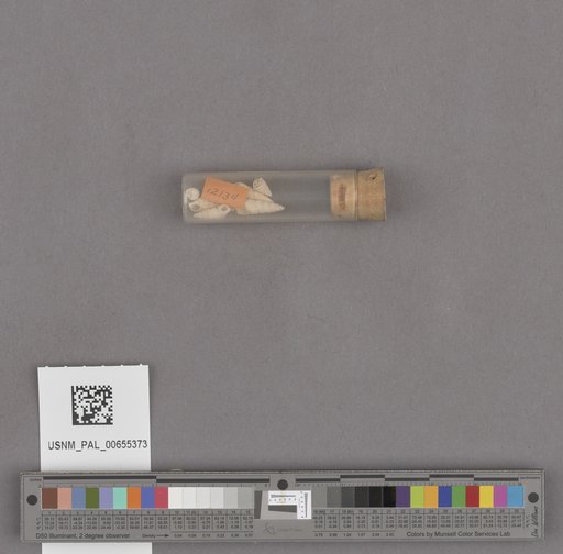 NSF ADBC EPICC TCN