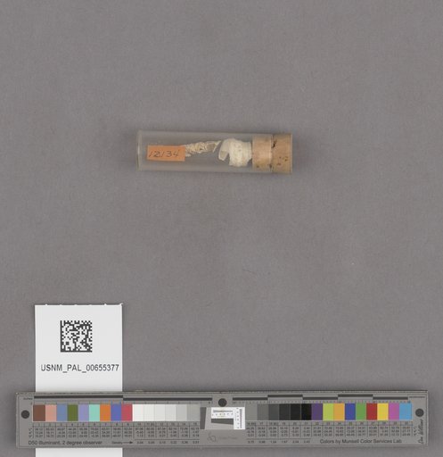 NSF ADBC EPICC TCN
