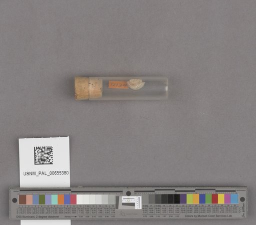NSF ADBC EPICC TCN