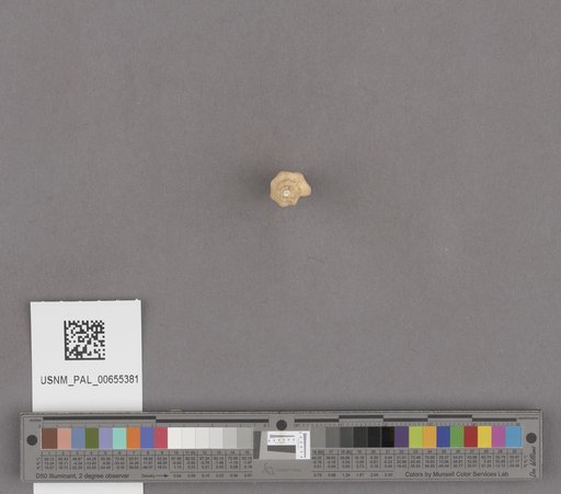 NSF ADBC EPICC TCN