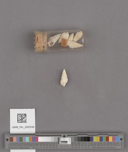 NSF ADBC EPICC TCN