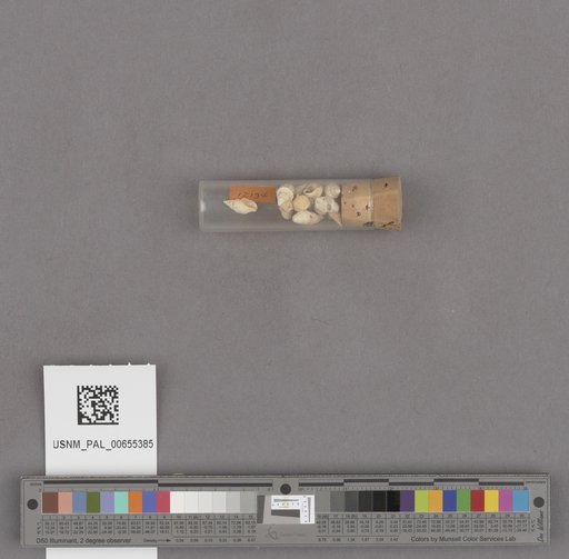 NSF ADBC EPICC TCN