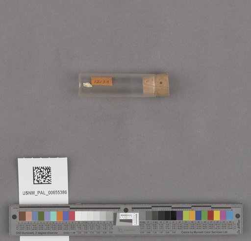 NSF ADBC EPICC TCN