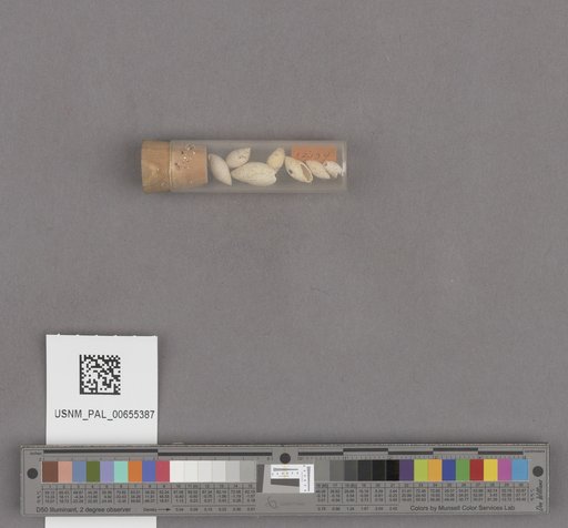 NSF ADBC EPICC TCN