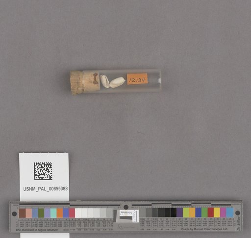 NSF ADBC EPICC TCN