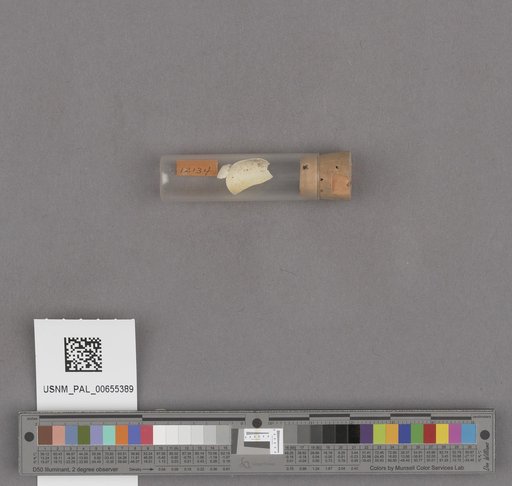 NSF ADBC EPICC TCN