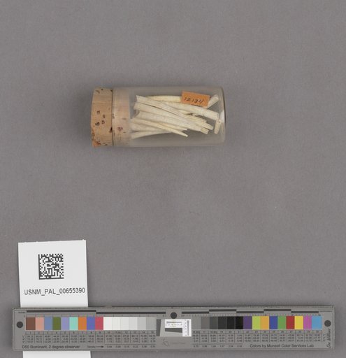 NSF ADBC EPICC TCN
