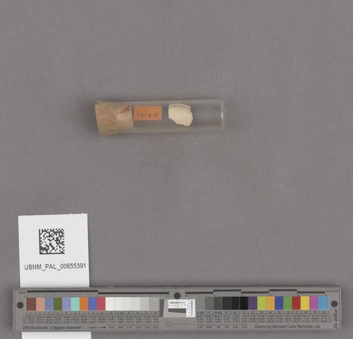 NSF ADBC EPICC TCN
