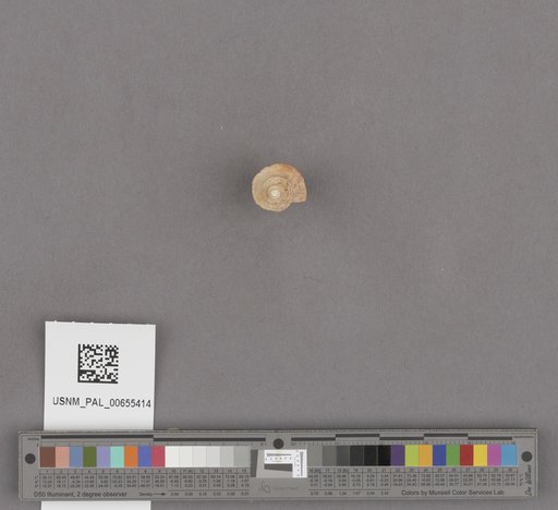 NSF ADBC EPICC TCN