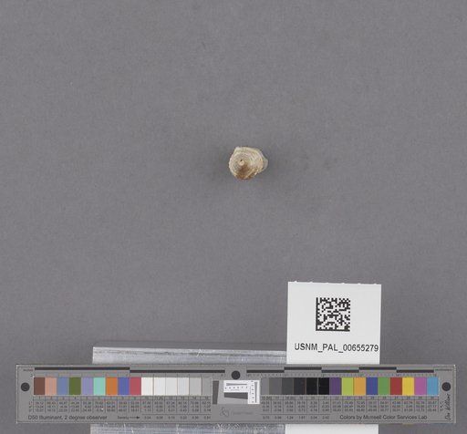 NSF ADBC EPICC TCN