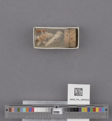 NSF ADBC EPICC TCN