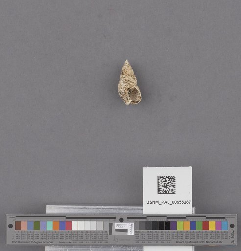 NSF ADBC EPICC TCN