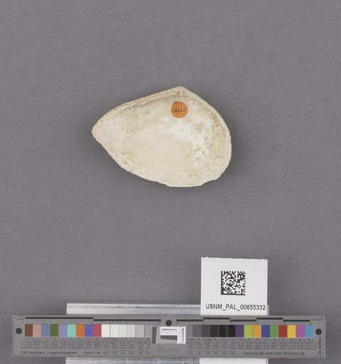 NSF ADBC EPICC TCN