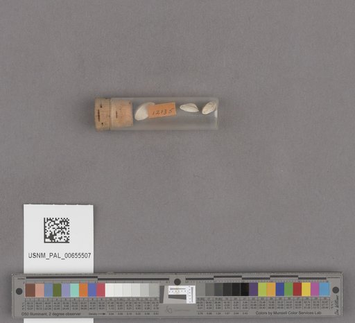 NSF ADBC EPICC TCN