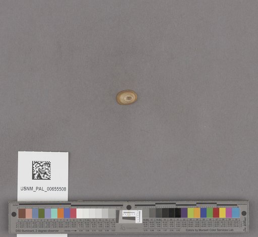 NSF ADBC EPICC TCN