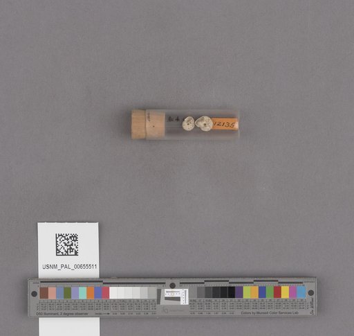 NSF ADBC EPICC TCN