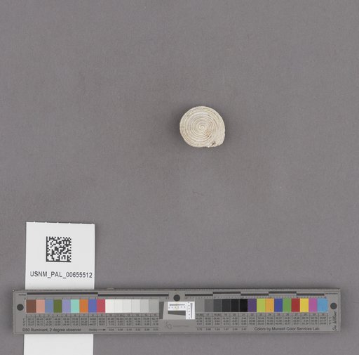 NSF ADBC EPICC TCN