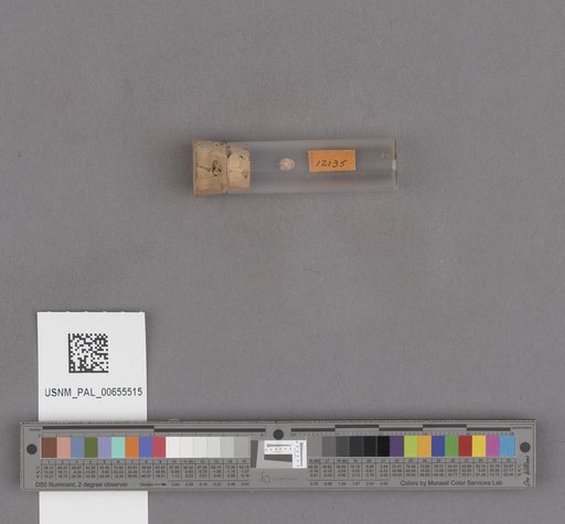 NSF ADBC EPICC TCN