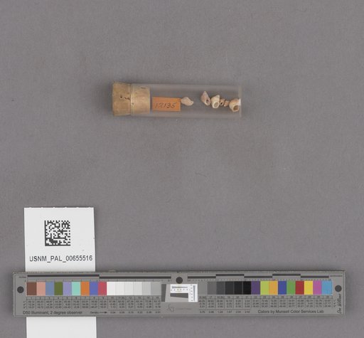 NSF ADBC EPICC TCN