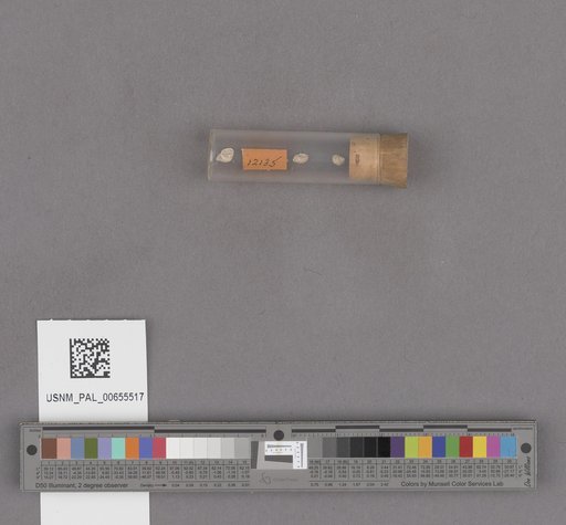 NSF ADBC EPICC TCN