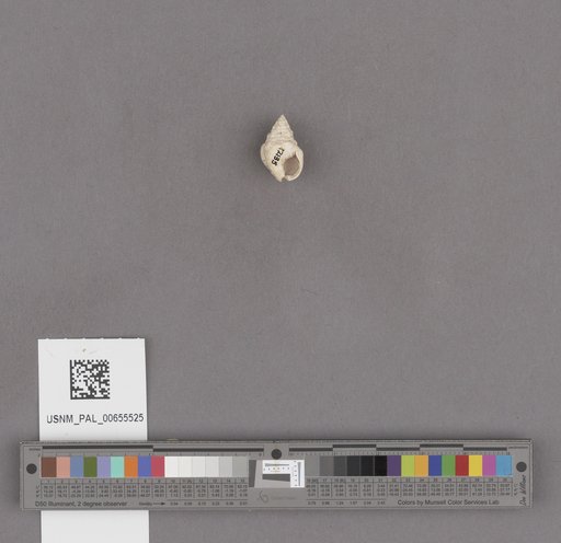 NSF ADBC EPICC TCN