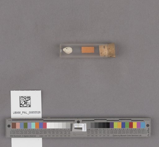 NSF ADBC EPICC TCN