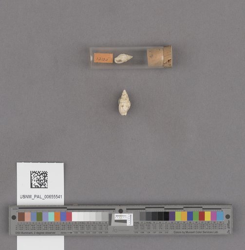 NSF ADBC EPICC TCN