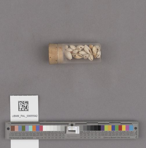 NSF ADBC EPICC TCN
