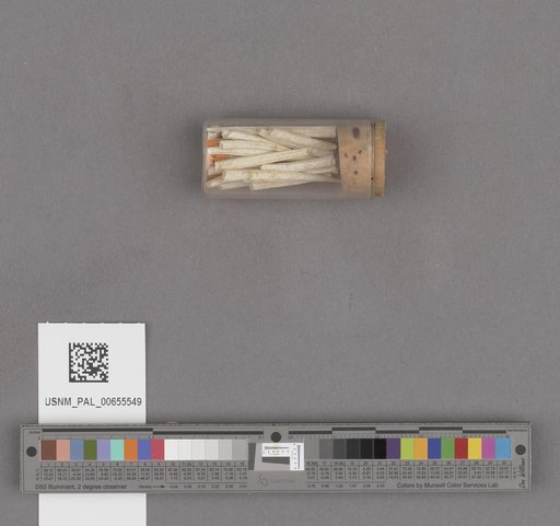 NSF ADBC EPICC TCN