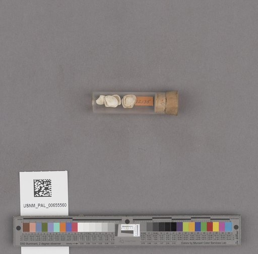 NSF ADBC EPICC TCN