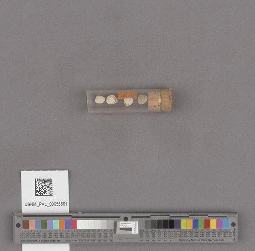 NSF ADBC EPICC TCN