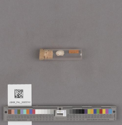 NSF ADBC EPICC TCN