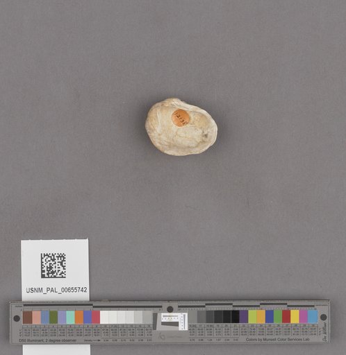 NSF ADBC EPICC TCN