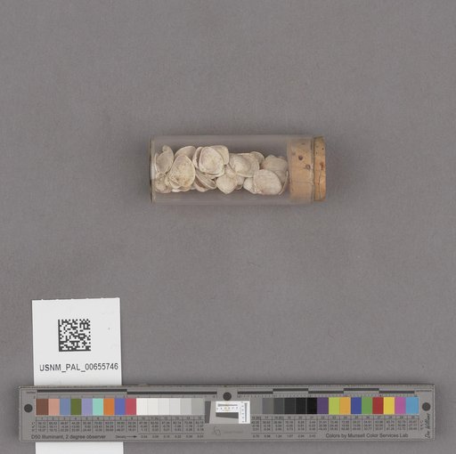 NSF ADBC EPICC TCN