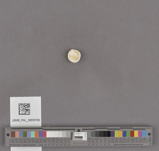 NSF ADBC EPICC TCN