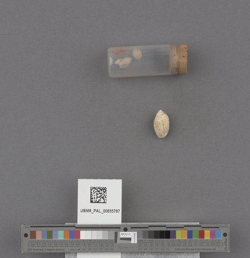 NSF ADBC EPICC TCN
