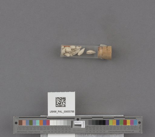 NSF ADBC EPICC TCN