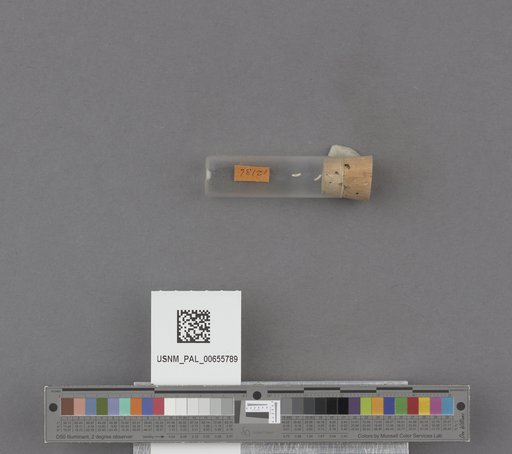 NSF ADBC EPICC TCN