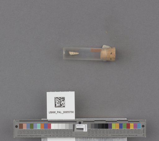 NSF ADBC EPICC TCN