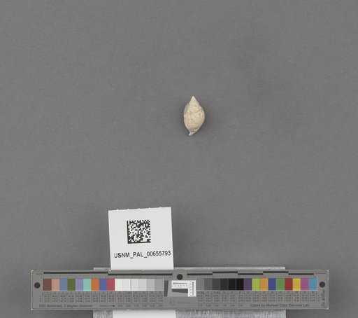 NSF ADBC EPICC TCN