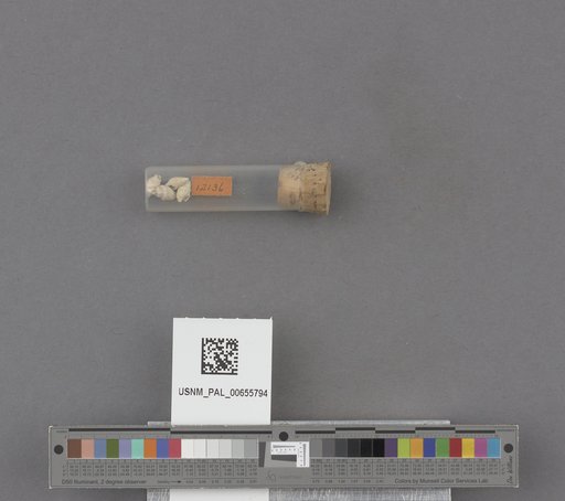 NSF ADBC EPICC TCN