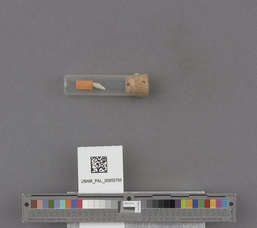 NSF ADBC EPICC TCN
