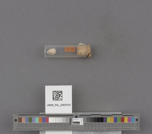 NSF ADBC EPICC TCN
