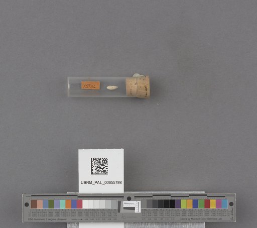 NSF ADBC EPICC TCN