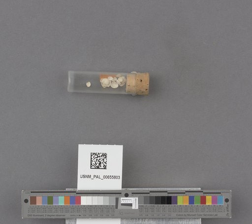 NSF ADBC EPICC TCN