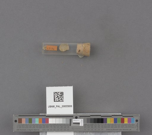 NSF ADBC EPICC TCN