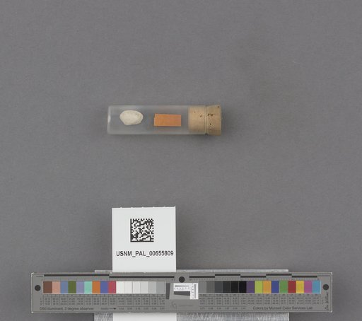 NSF ADBC EPICC TCN