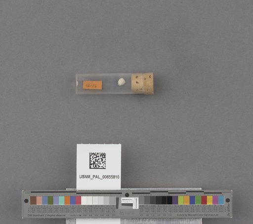 NSF ADBC EPICC TCN