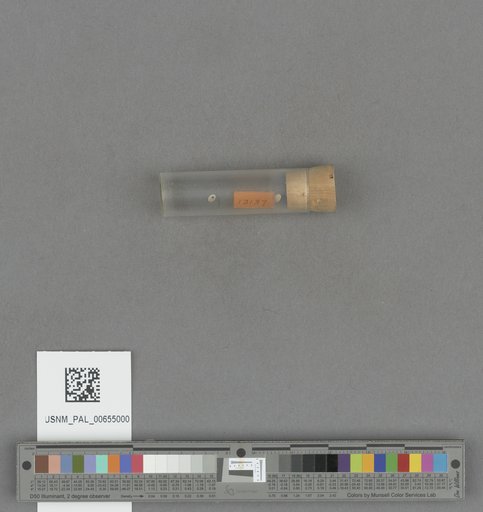 NSF ADBC EPICC TCN